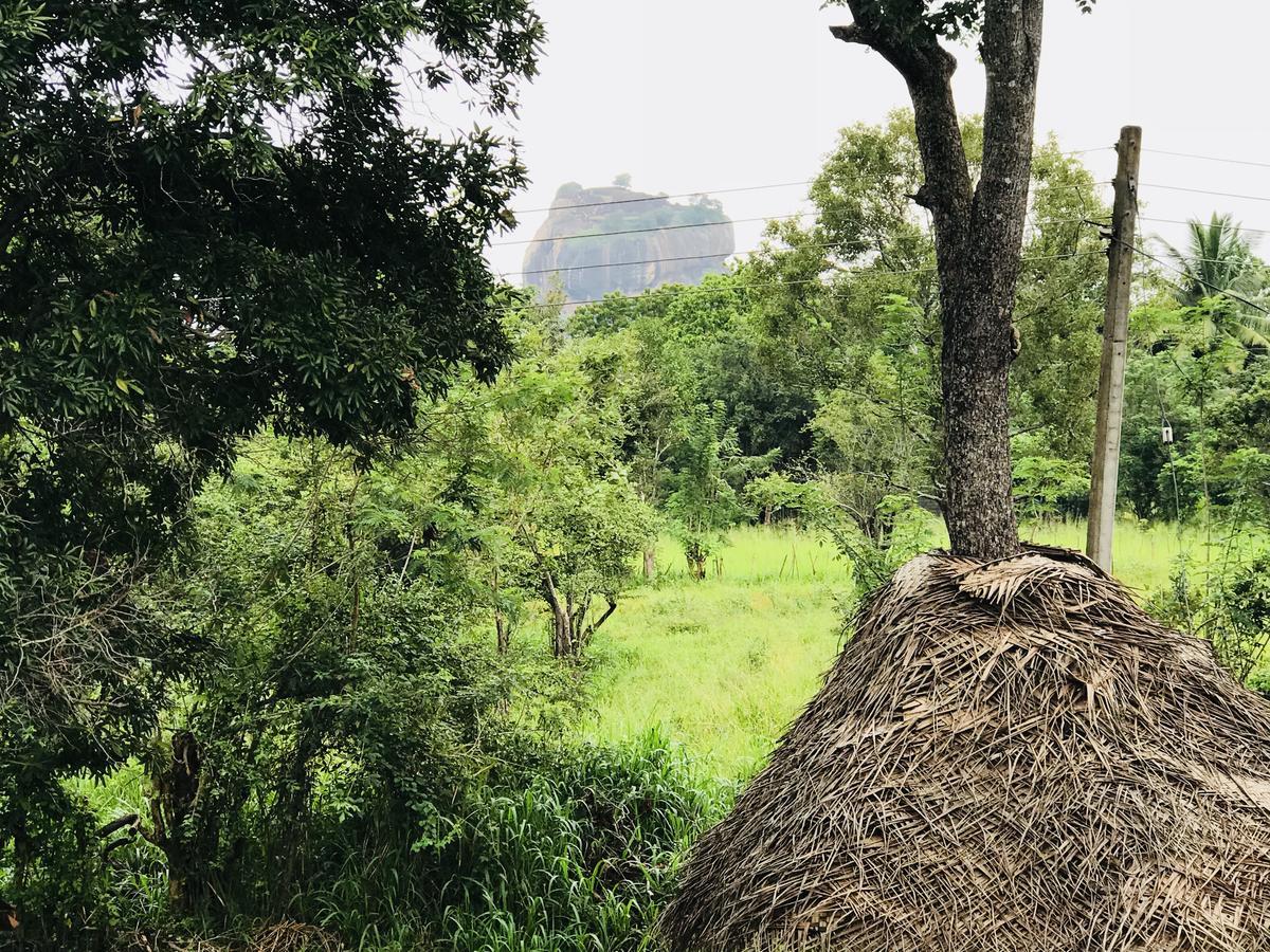 Sigiriya Rock Hide Hotel Ngoại thất bức ảnh