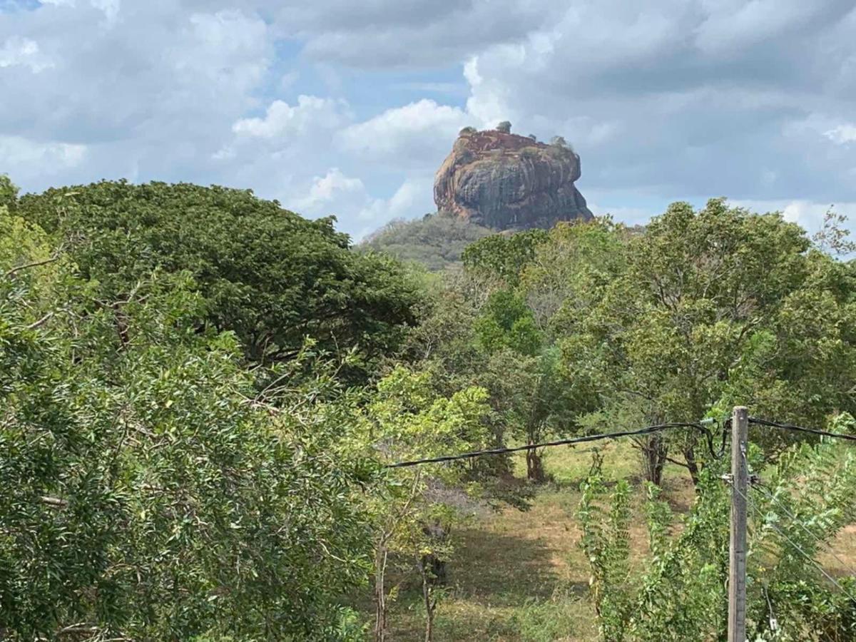 Sigiriya Rock Hide Hotel Ngoại thất bức ảnh