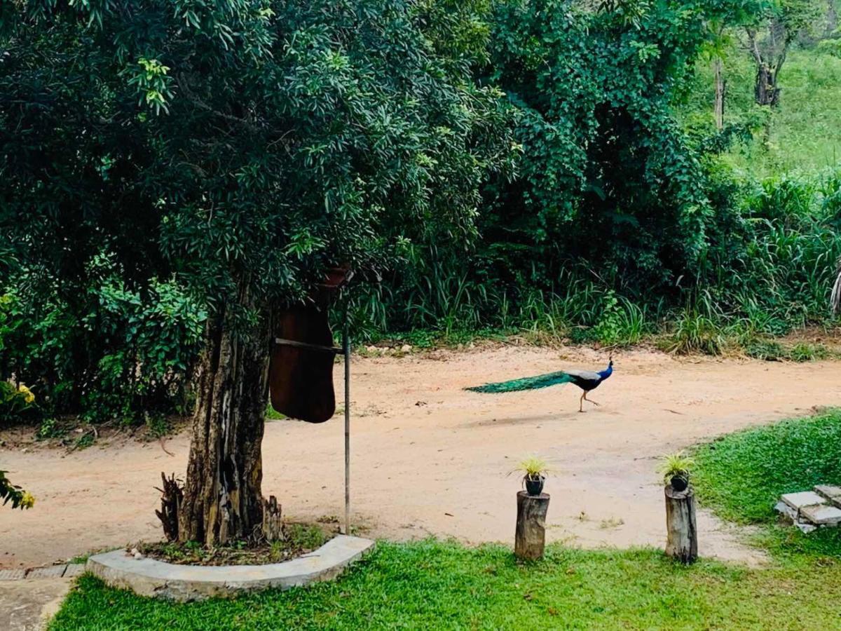 Sigiriya Rock Hide Hotel Ngoại thất bức ảnh