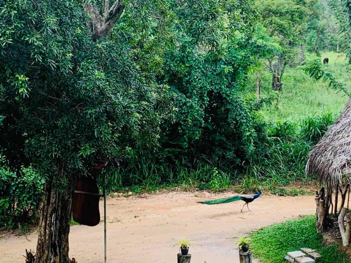 Sigiriya Rock Hide Hotel Ngoại thất bức ảnh
